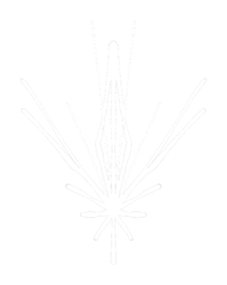 HashMeterAi